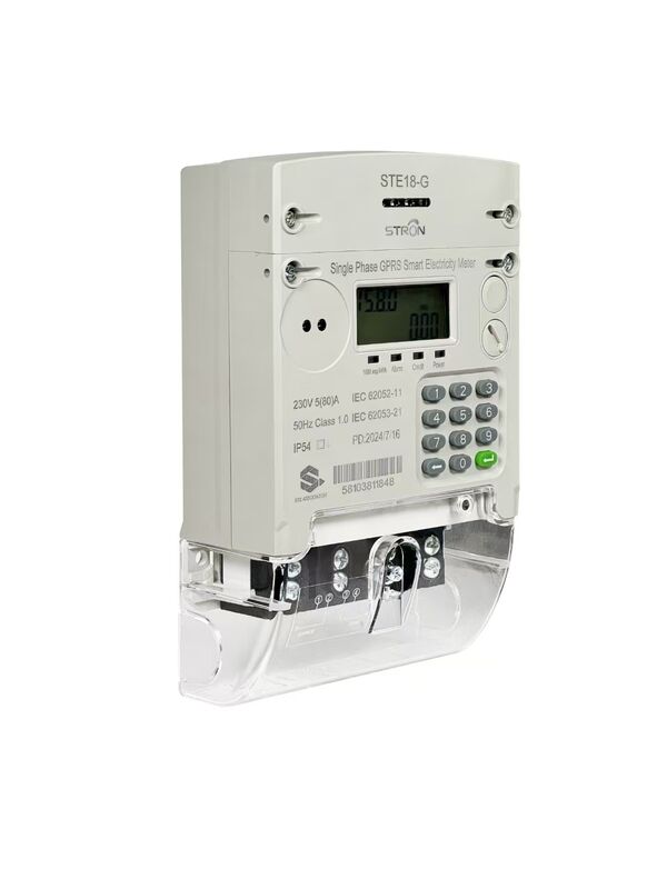 IP54 Protected Anti-Tamper Smart Prepaid 4G/GSM/GPRS Electricity Meter with Vending Software STS