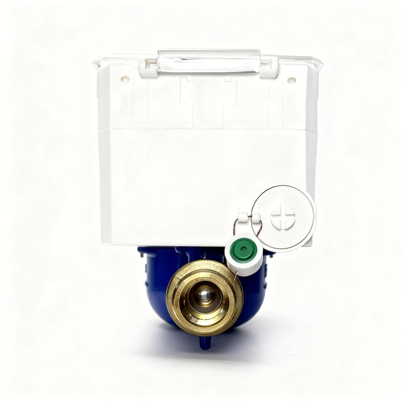 STS Prepaid Keypad Smart Water Meter DN15/DN20/DN25 with Auto Cutoff and IP68 Waterproof for Residential Use