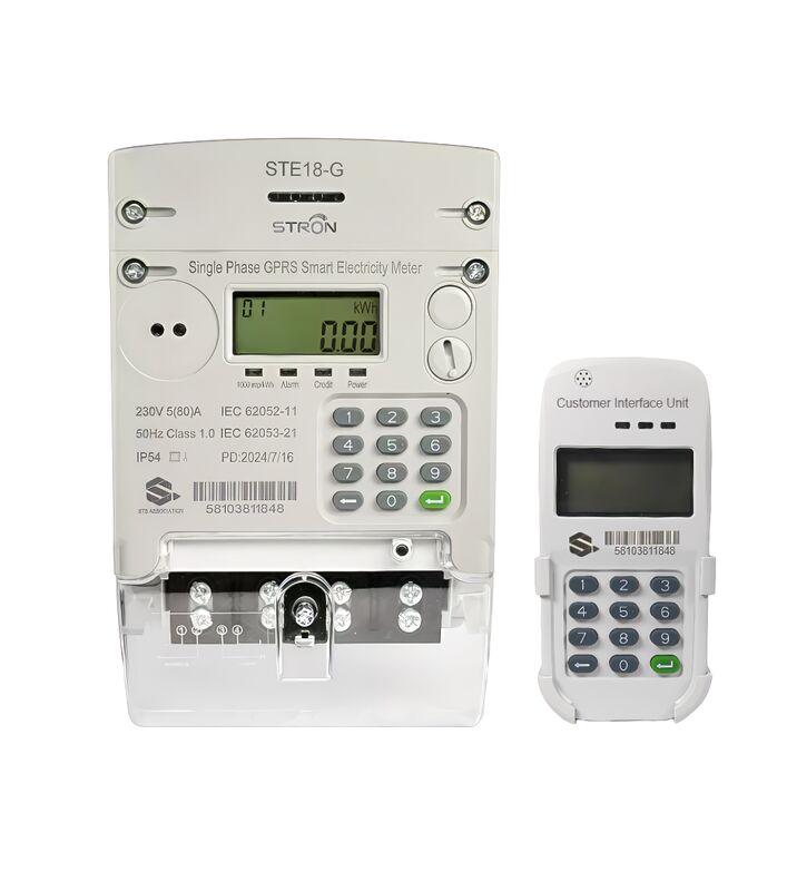 Plug-and-Play Single Phase GPRS Meter - 5-Year Battery Life for Factories, Offices & Solar Hybrid Systems