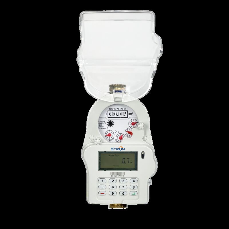 STS Keypad Prepaid Water Meter R100, All‑In‑One Integrated Type, IP68, DN15/DN20/DN25, Optional LoRa‑RF Communication