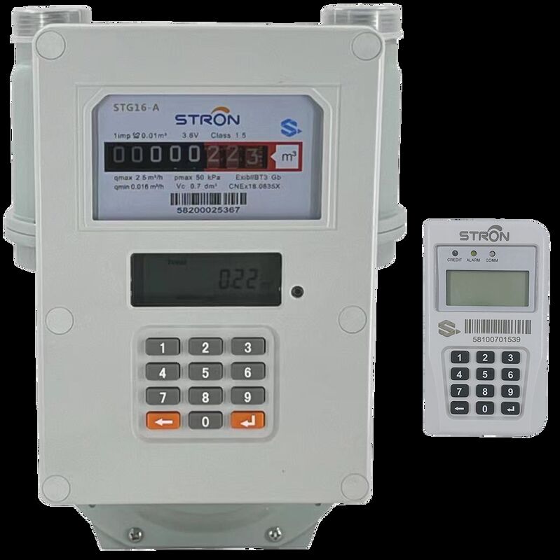 STG16-S LCD Display Blood Glucose Meter Kit Customized Performance Easy Operation Suitable For Diabetes Screening And Monitoring