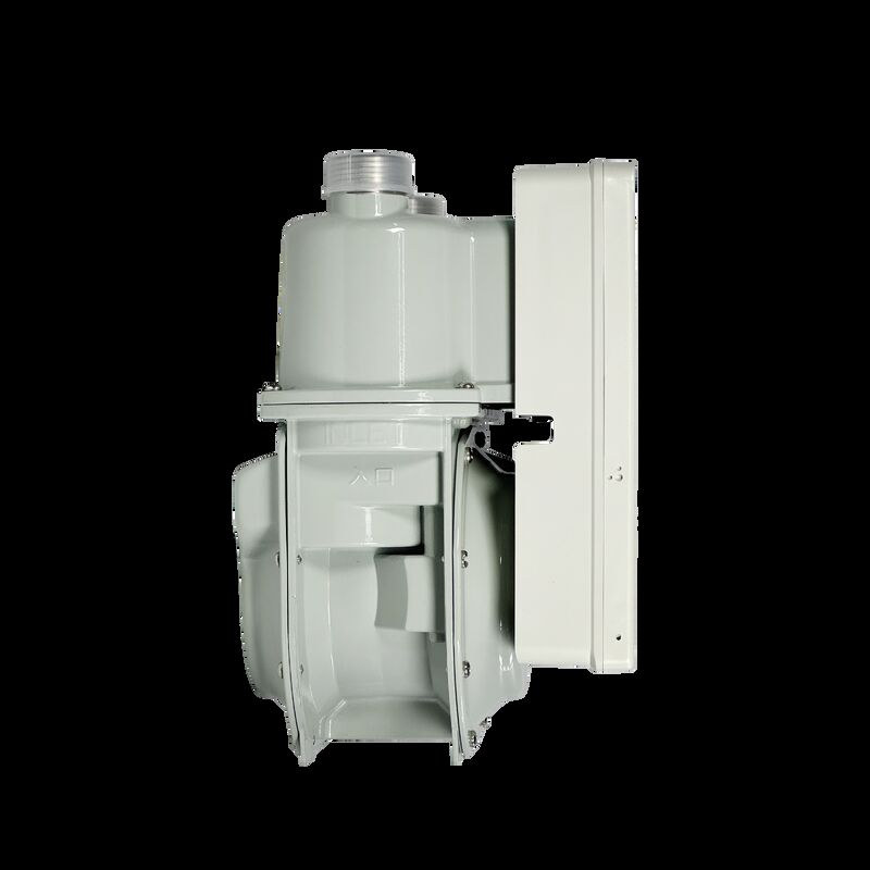 Smart Gas Meter digital meter providing continuous gas flow monitoring and integration with enterprise resource systems