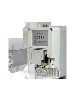LoRa-RF Data Concentrator Gateway for Smart Meters (300 Units, GPRS, 433/915MHz, IP54)