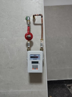 Customized Self-routering Meshwork Blood Glucose Test Meter for Personalized Monitoring