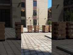 Anti Tamper Single Phase Electrical Counter Meter for Industrial Energy Management